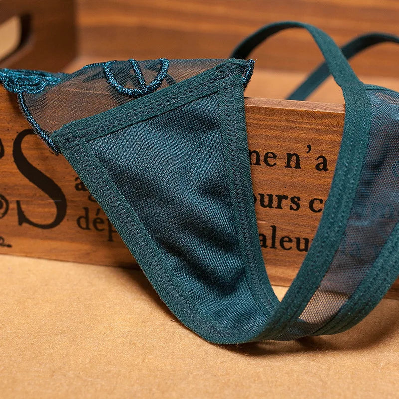 Women Panties Sexy Embroidery  Panty Transparent Underwear Female
